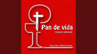 Más que una canción