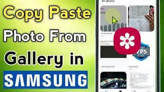 How to copy paste photo from gallery in samsung phone