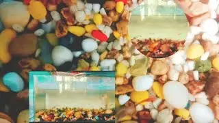 Meenu🐠 ku  Oru Kutty story irukku video# Dhivya shanmugam# channel cuddalore subscribe