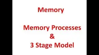Memory - Processes & 3 Stage Model