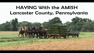 Haying With the AMISH in Lancaster County, PA
