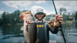 Lew's Custom Pro Spinning Reel