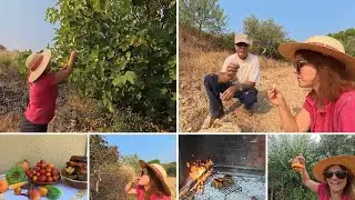 A HORTA É UM LUGAR DE GRANDE RIQUEZA- ALIMENTOS FRESCOS E SABOROSOS