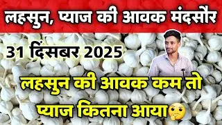 मंदसौर मंडी लहसुन प्याज की आवक 31 दिसंबर 2025 | Garlic & Onion Arrivals | #mandsaur_mandi_bhav