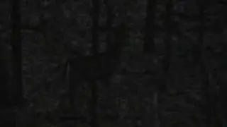 Team Strutt'n & Rutt'n Outdoors Clip 2