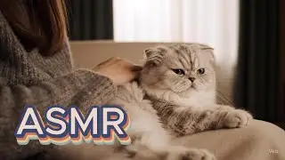 Cozy 🐾Cat 🐾 ASMR