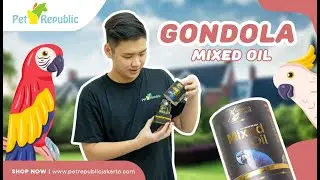 GONDOLA Vitamin Burung Khusus Parrot MIXED OIL