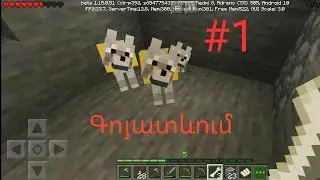 Minecraft #1 պատրաստում ենք տուն  🏠 հողի տակ և ընտելացնում գայլերի -ARMGAMING-