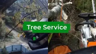 Tree service & removal Conway SC, (843) 779-TREE