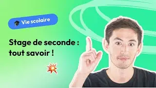 Stage obligatoire en seconde ! On vous dit tout ! 🤔