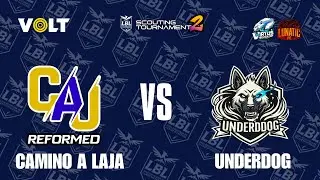 Camino a Laja Reformed vs Underdog - Loser Bracket | Torneo Scouting 2 | LBL