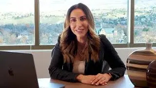 Onyx Franchise Solutions Introduction