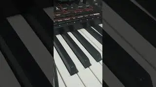 Korg pa4x ,Pa5x,pa1000🤗