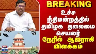 Stray Dog Issue | உச்ச நீதிமன்றத்தில் தமிழக தலைமை செயலர்  நேரில் ஆஜராகி விளக்கம்