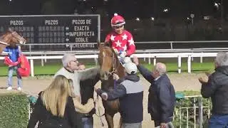 Handicap Plateria 2024. - Ganador Rezongar en impresionante remontada.