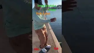 #fishing #fishing #fishingvideo #fishinglife #outdoors #funny #oceanfishing #pnwadventures #fish