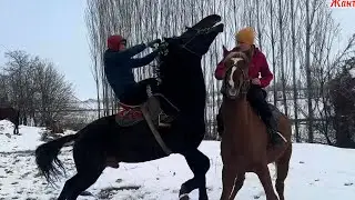 Ишеничтуу Аттар Арзан баада +996-778-257-250 20 января 2026 г.