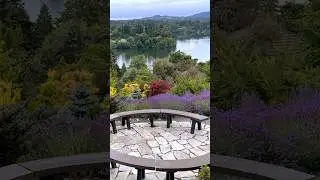 The garden tours from Vista Gardens are SO GOOD! #gardentour #beautifulgarden #perennialgarden