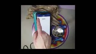 So nutzt du die Z-App f&uuml;r deine VibraNex!