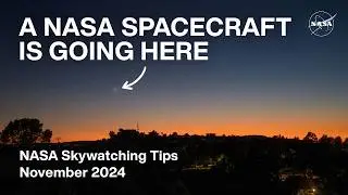 What's Up: November 2024 Skywatching Tips from NASA