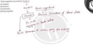 Anticoagulant secreted by leech is (a) heparin (b) hirudin (c) haem...