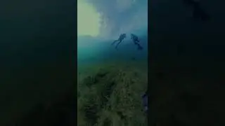 Would you try this? #scubaaddict #scubadiving #scubaworld #adventuresport