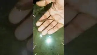 Seahorse Rescue !!!!! Nick Bingo pk