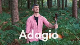 Adagio Albinoni - Adi Calef
