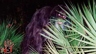 Top 5 Scary Florida Urban Legends