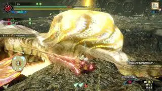 【MHRise】ナルハタタヒメ ランス ソロ 04'48