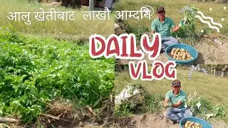आलु खेतिमा लगानी लाखौको फाइदा