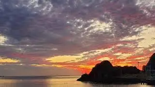 Peaceful Pause