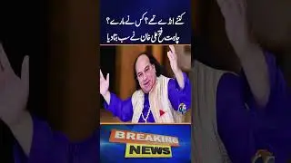 Eggs Thrown at Chahat Fateh Ali Khan &mdash; What Really Happened? - Geo New