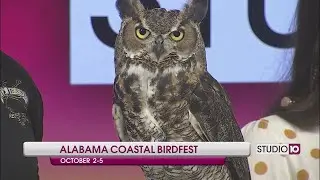 Alabama Coastal Birdfest with 5 Rivers Delta Resource Center
