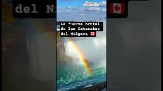 La fuerza brutal de las Cataratas del Ni&aacute;gara #shorts #canada