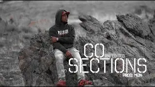 Cornfed Ted - No Sections (Official Video)