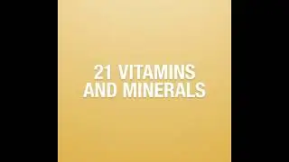 Whole Food Blend Comprehensive Multivitamin & Mineral Boost