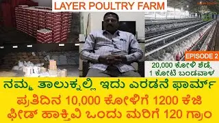 BV 300 Layer Poultry Farming | ಲೇಯರ್ ಕೋಳಿ ಸಾಕಾಣಿಕೆಯಲ್ಲಿ ಒಳ್ಳೆ ಆದಾಯ | NECC Egg ಬೋರ್ಡ್ ಕಮಿಟಿಯ ಮೆಂಬರ್