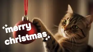 Merry Christmas (I don't want to fight tonight)