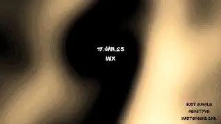 Just Jungle /Genotype/Mastermind DNB  - 19 / Jan / 25  Mix