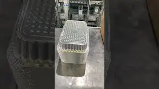 SEAS-1500 aluminum foil container production line,WR3727 in mass production! #chinesefactory