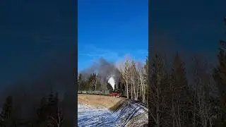 99 1785-7 dampft lautstark durch den Wald Richtung Oberwiesenthal, Kretscham-Rothensehma 04.02.2025
