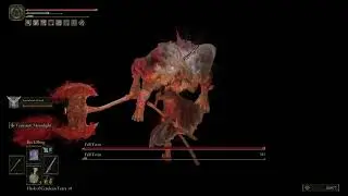 ELDEN RING Fell Twin Boss Fight