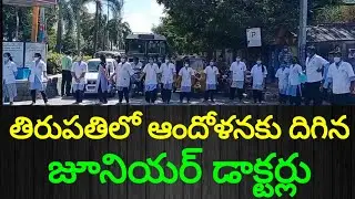 గుంటూరులో ఘటనపై ఆందోళనకు దిగిన తిరుపతి జూనియర్ డాక్టర్లు, Junior Doctors Protest Against Attacks