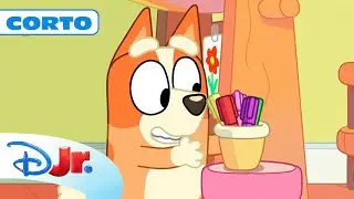 BLUEY CORTOS: La tienda de tatuajes 🐶 | @DisneyJuniorES