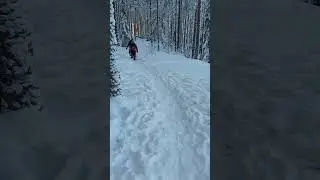 Woolsock run in Finland 7.1.2022. About -23&deg;C and without shoes.