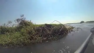 Crocodile Cruise