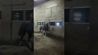 Boss Hog 2/8/17(1)