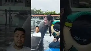 dolphin kisses this girl