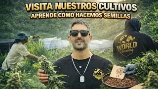 🌱Acomp&aacute;&ntilde;ame a descubrir los entresijos de hacer Semillas!!! 